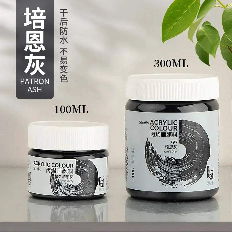 PHOENIX Acrylic Paint 300ML Matte Finish Waterproof Rich Pigment Halloween Pumpkin Canvas Ceramic Painting for Artists Beginners - ToylandEU