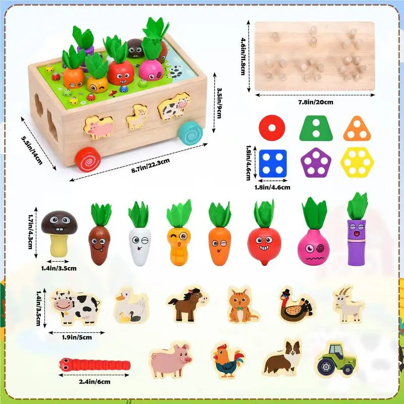 Montessori Shape Matching Carrot Toy for Early Learning and Fun