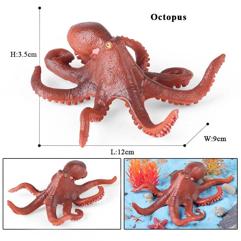 Educational Marine Life Model Set Squid And Octopus Growth Cycle Simulation For Kids - ToylandEU