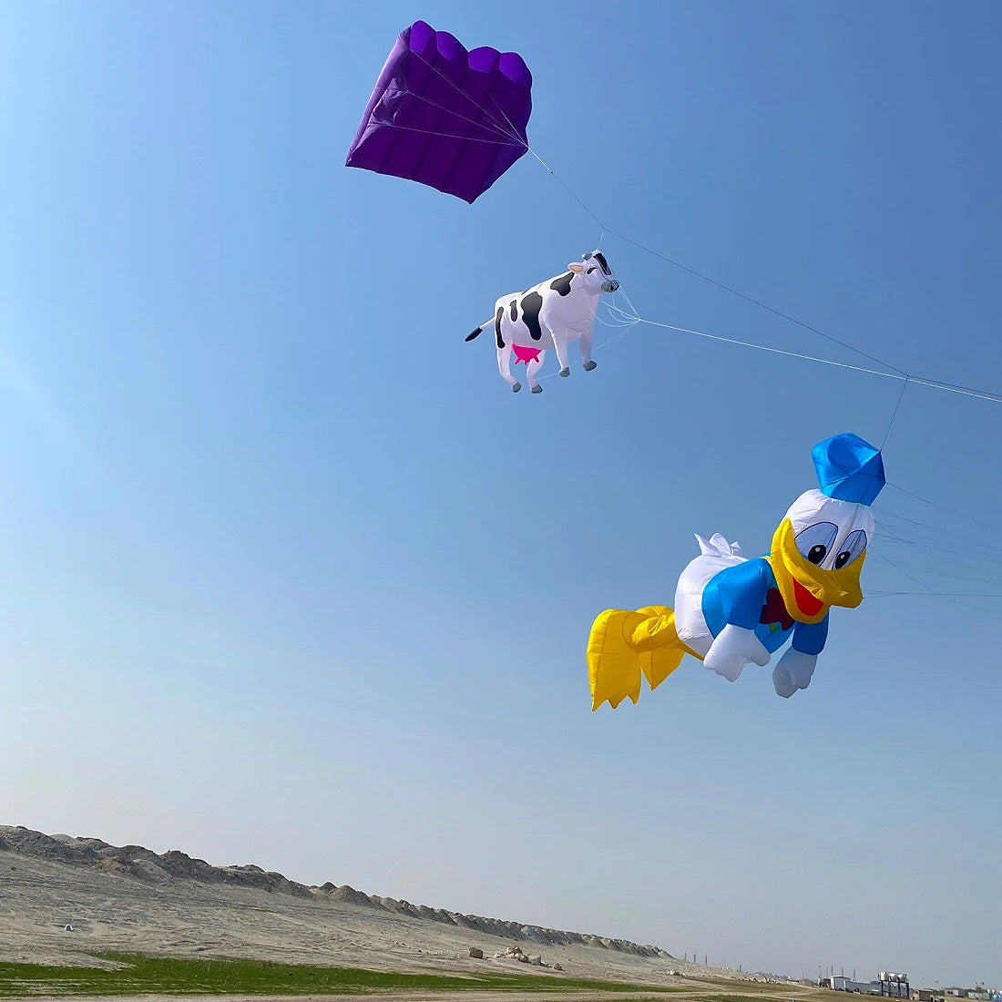 3m Cow Kite Line Laundry Pendant Soft Inflatable Show Kite - ToylandEU