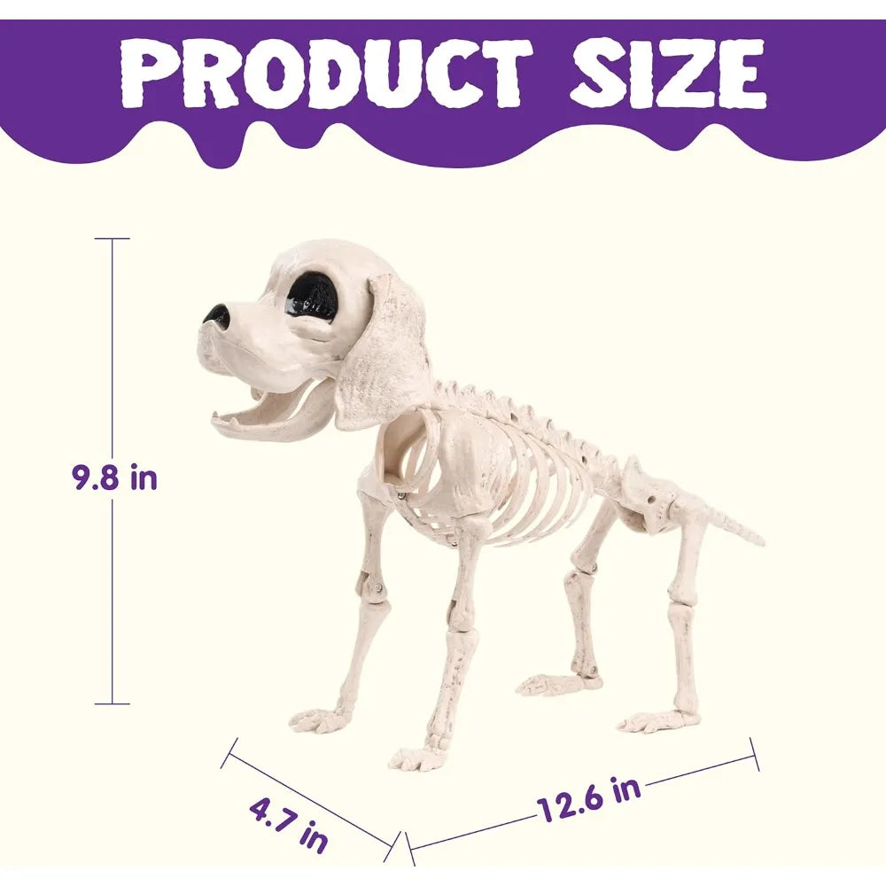 Halloween Dog Skeleton | Poseable Full Body | Realistic Design | Small 12 Inch