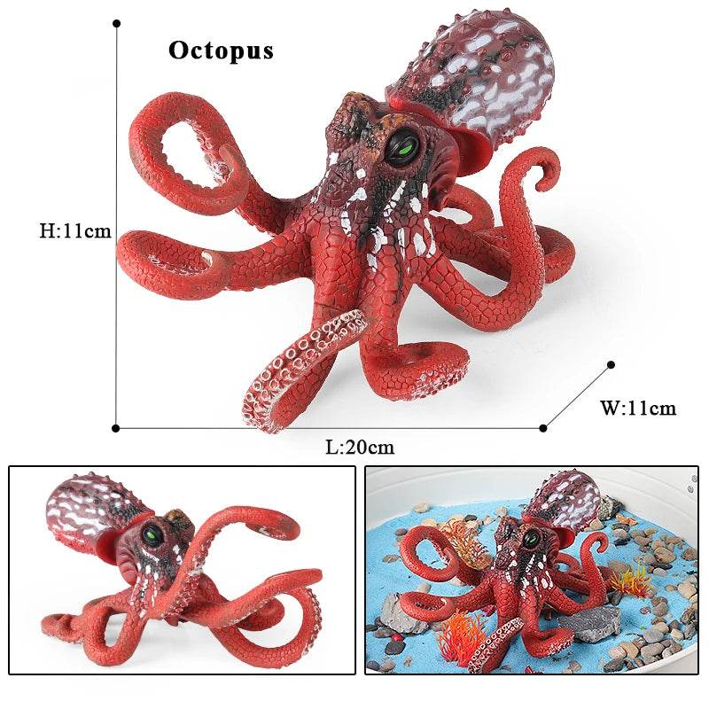 Educational Marine Life Model Set Squid And Octopus Growth Cycle Simulation For Kids - ToylandEU