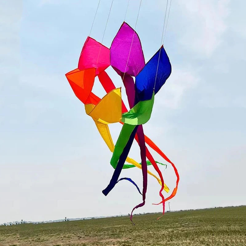 Large Soft Nylon Kites with Free Shipping - ToylandEU