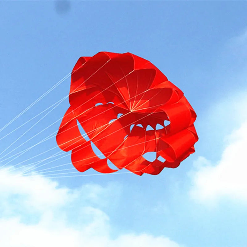 High Quality 200cm Dual Line Stunt Power Kite with Free Shipping - ToylandEU