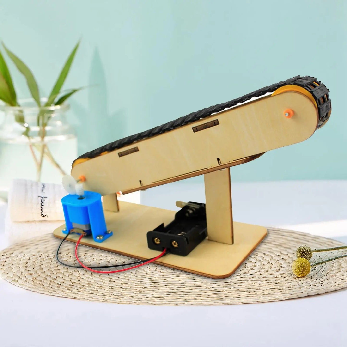 Science Experiment Conveyor Belt DIY Wooden Toy Kit - ToylandEU