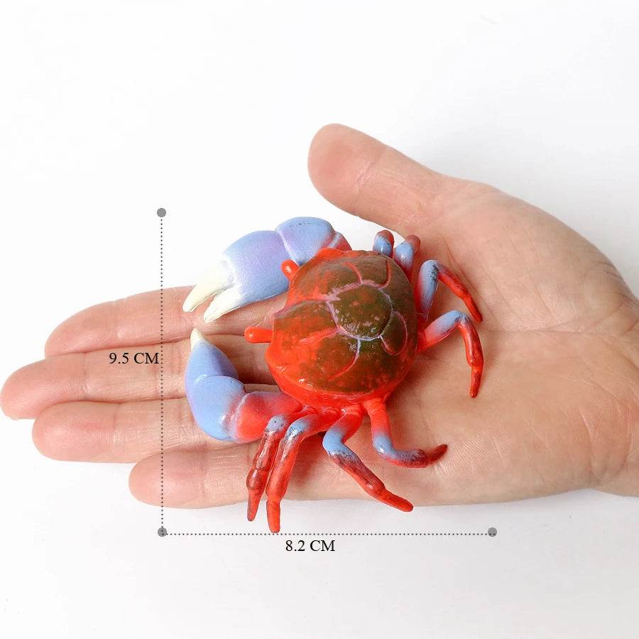 Realistic Sea Life Figurines Hermit Crab King Crab Display - ToylandEU