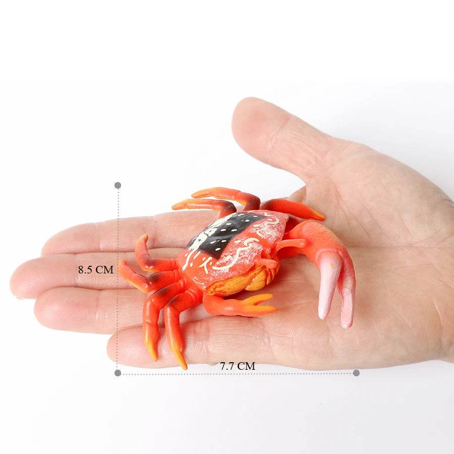 Realistic Sea Life Figurines Hermit Crab King Crab Display - ToylandEU