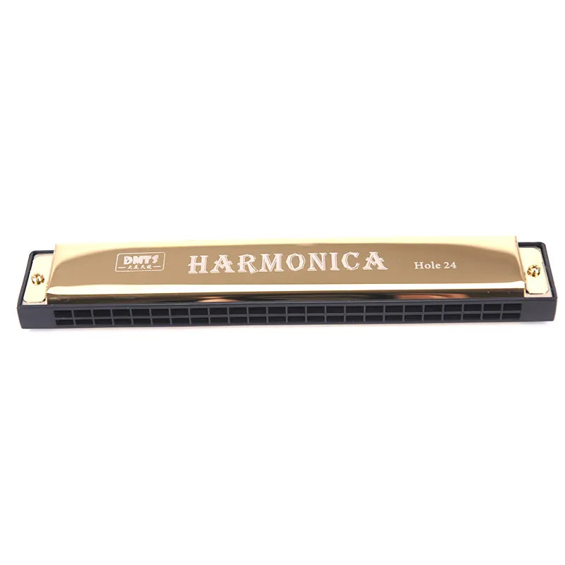 Professional 24 Hole Harmonica Key Of C Mouth Metal Organ For Toyland EU