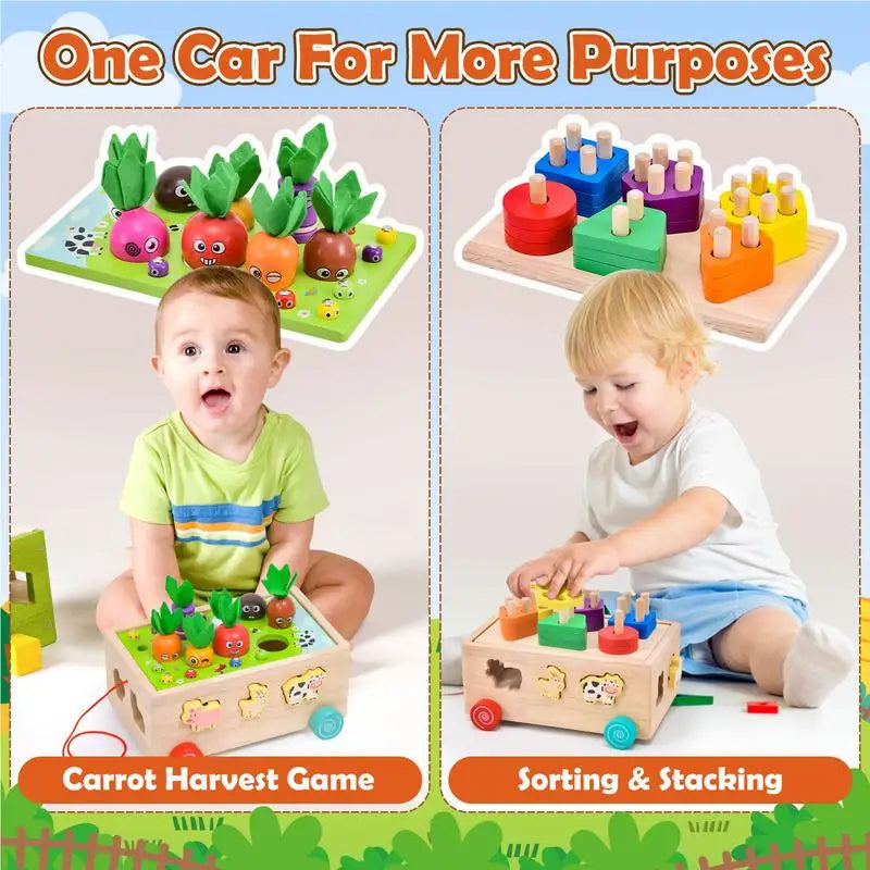 Montessori Shape Matching Carrot Toy for Early Learning and Fun