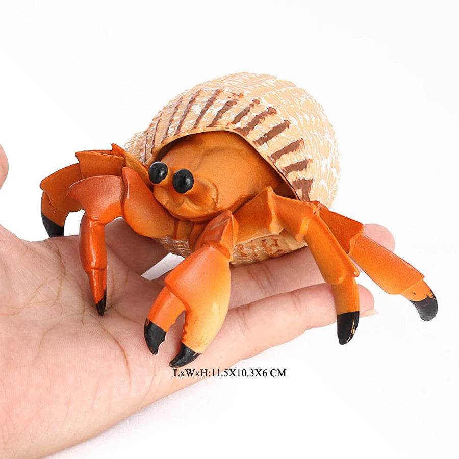 Realistic Sea Life Figurines Hermit Crab King Crab Display - ToylandEU