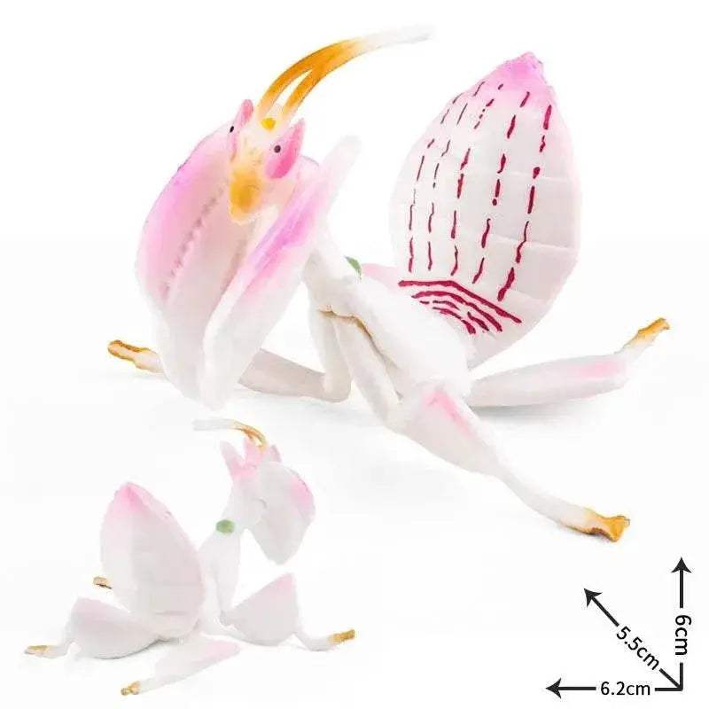  Simulated Insect Action Figure Educational Toy for Children -  ToylandEU™