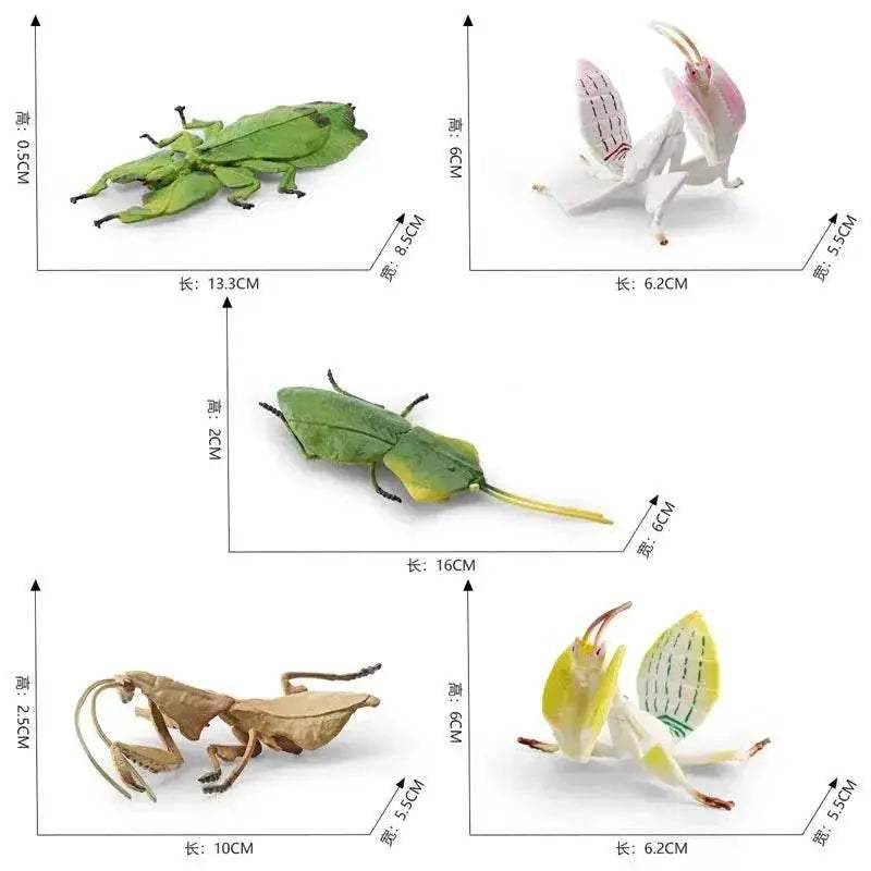  Simulated Insect Action Figure Educational Toy for Children -  ToylandEU™