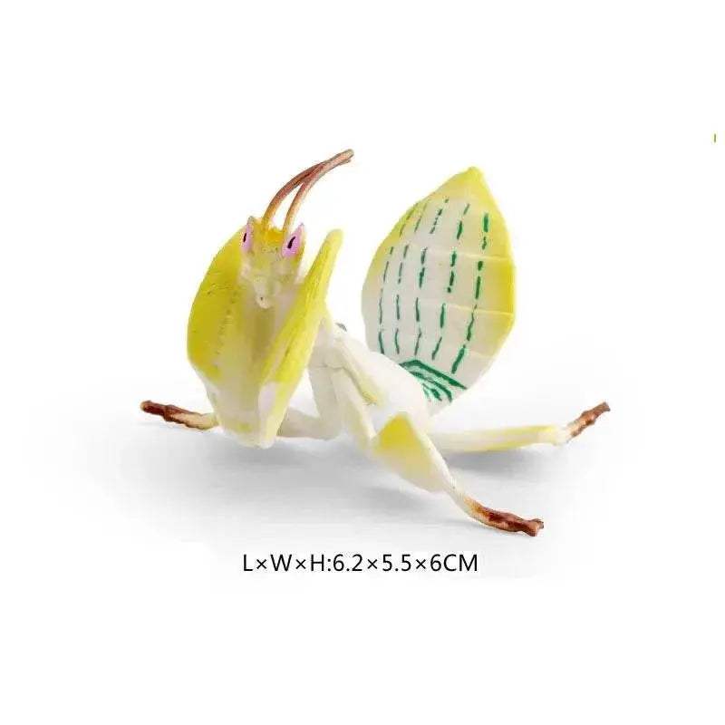  Simulated Insect Action Figure Educational Toy for Children -  ToylandEU™