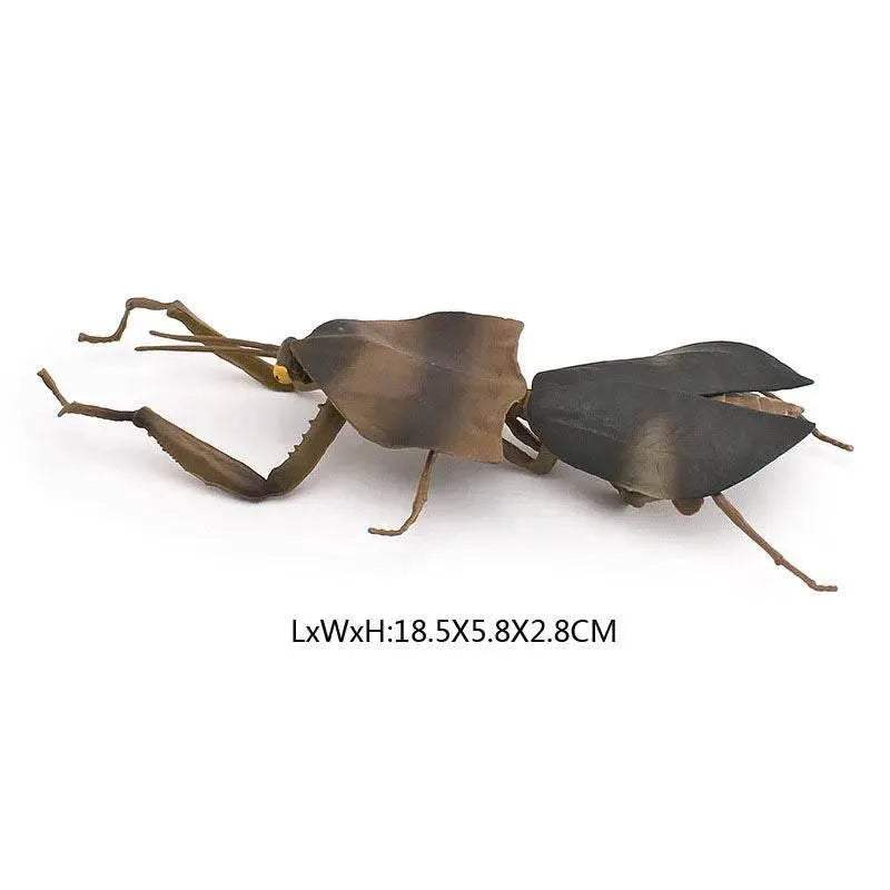 Simulated Insect Action Figure Educational Toy for Children -  ToylandEU™