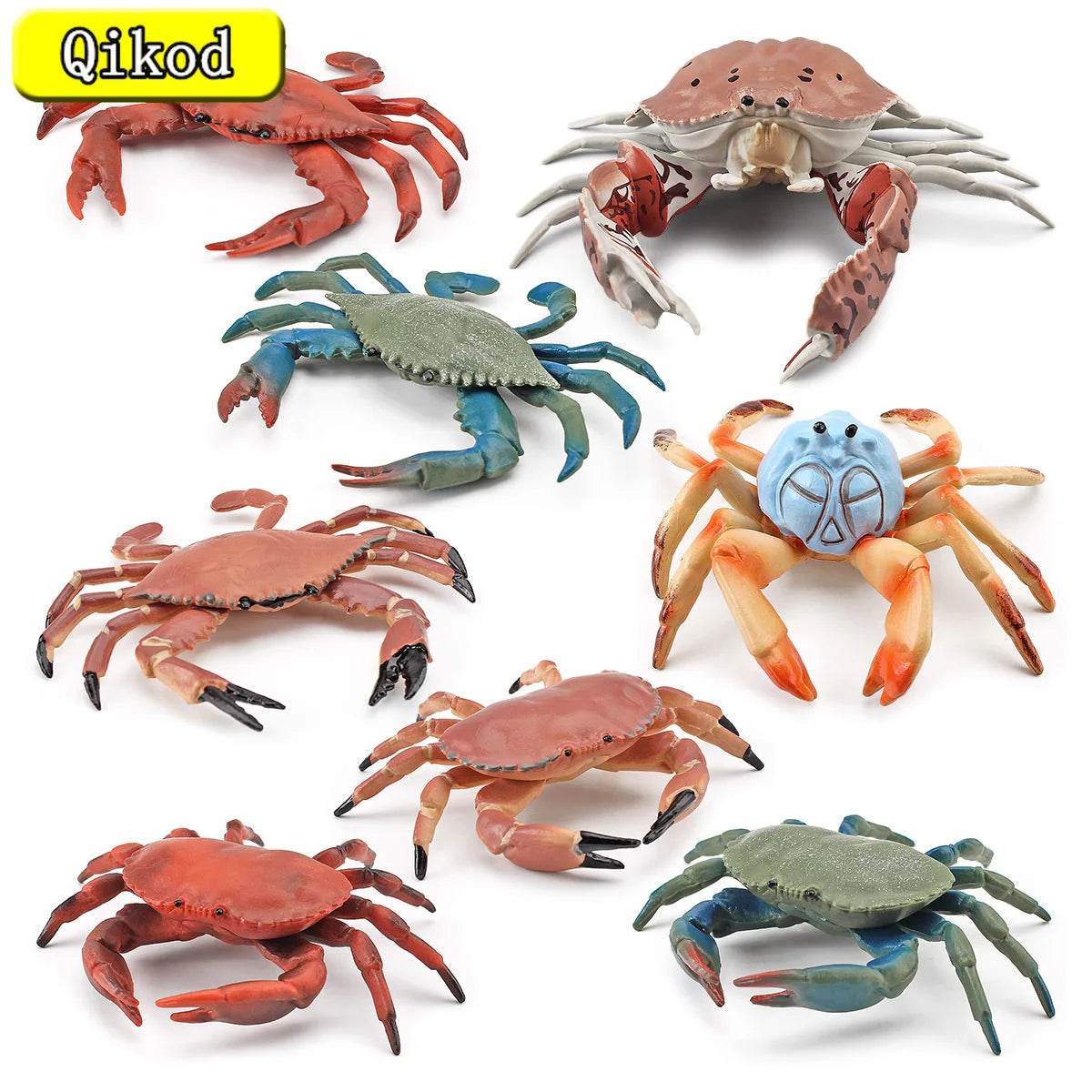 Simulation Sea Life Crab Calappa Lophos PVC Action Figure - ToylandEU