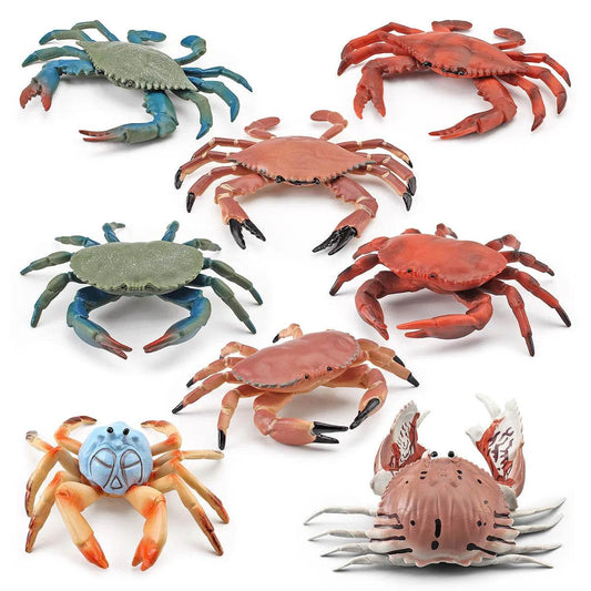 Simulation Sea Life Crab Calappa Lophos PVC Action Figure - ToylandEU