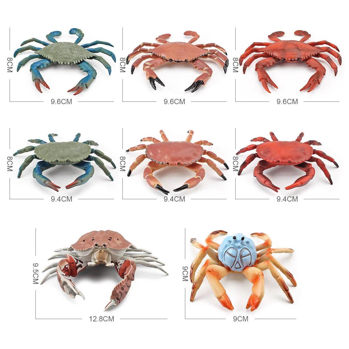 Simulation Sea Life Crab Calappa Lophos PVC Action Figure - ToylandEU