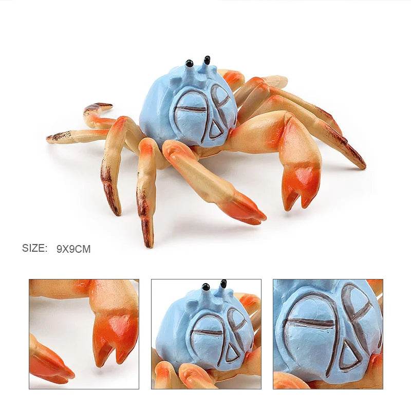 Simulation Sea Life Crab Calappa Lophos PVC Action Figure - ToylandEU
