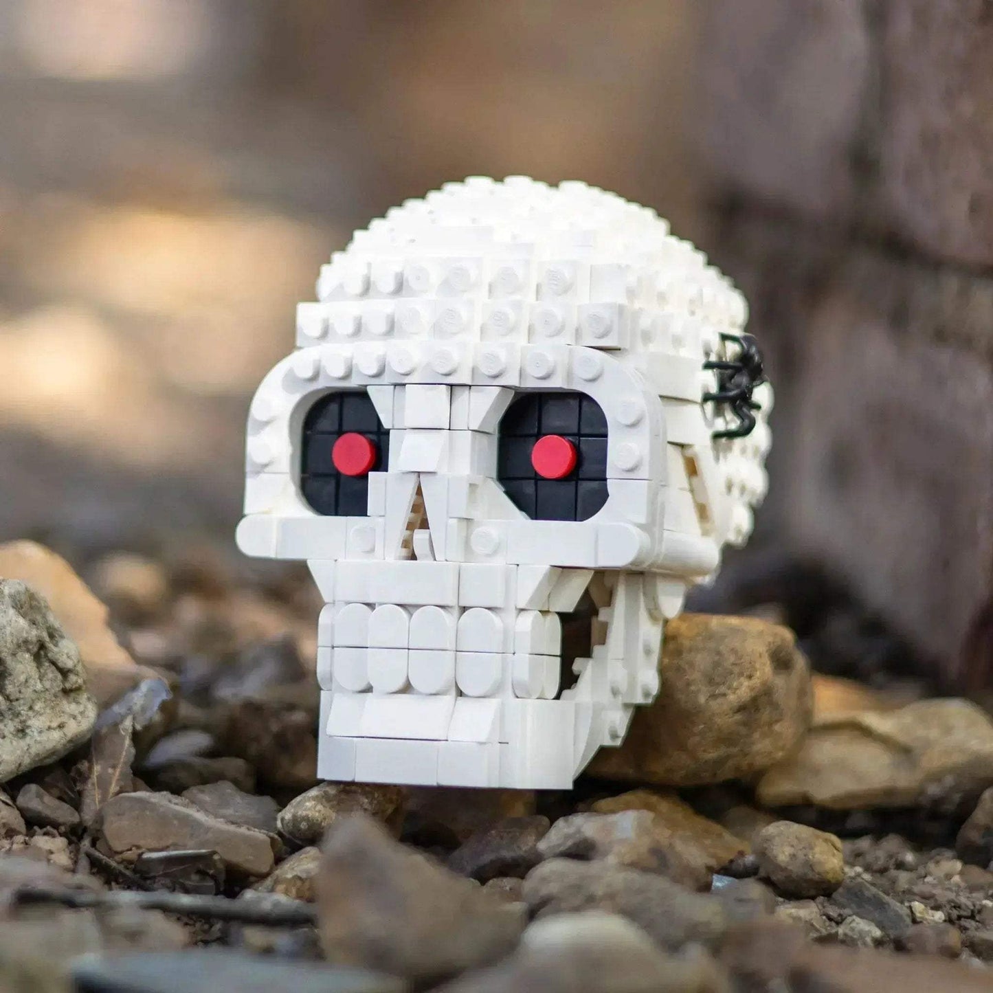 Halloween Skull Prop With Realistic Sculpting Hinged Jaw Spooky Spider - ToylandEU