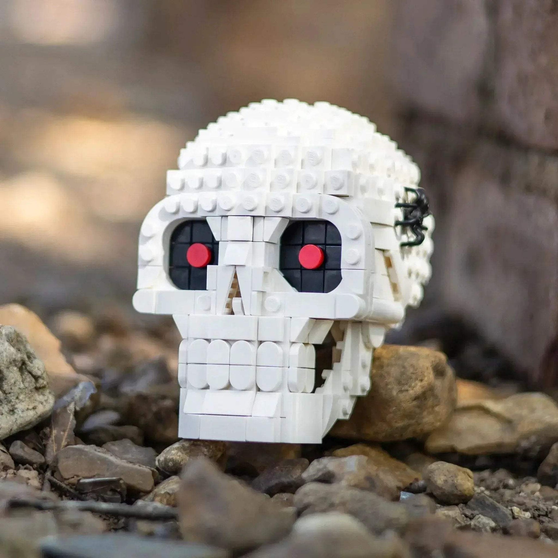 Halloween Skull Prop With Realistic Sculpting Hinged Jaw Spooky Spider - ToylandEU