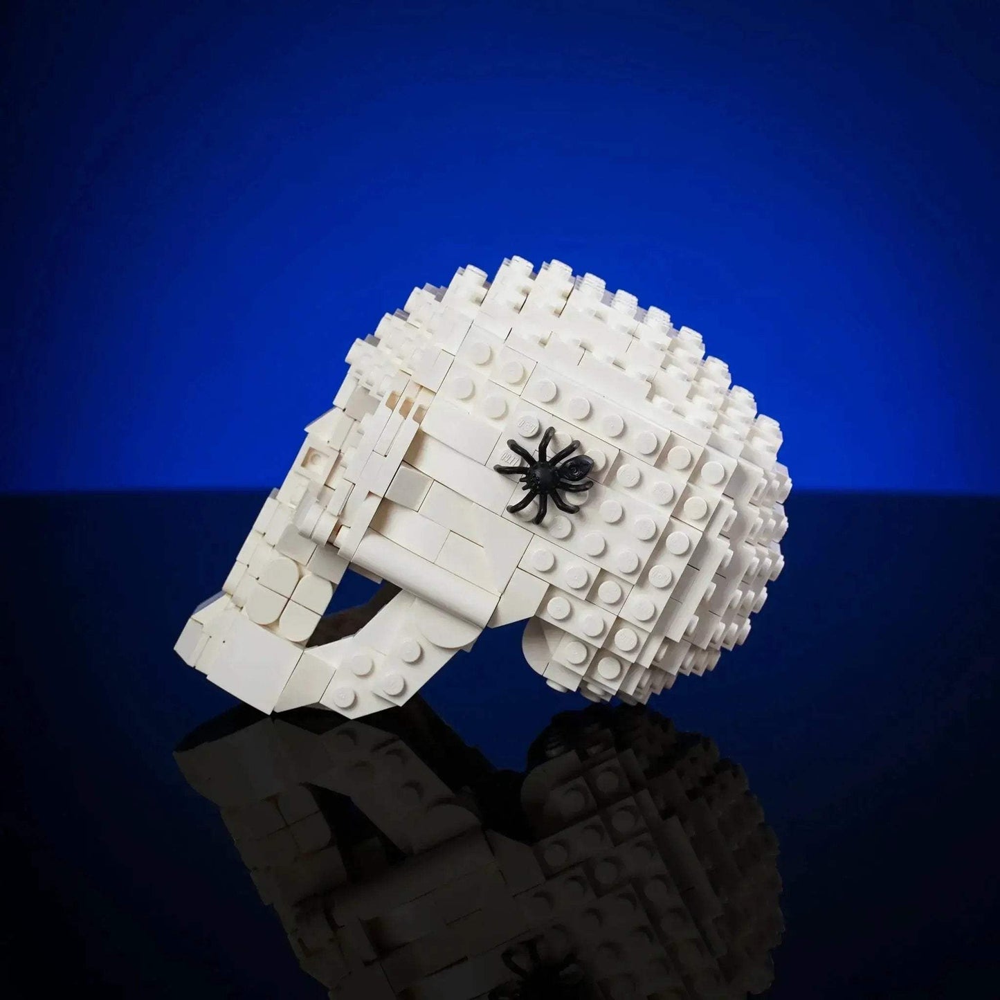 Halloween Skull Prop With Realistic Sculpting Hinged Jaw Spooky Spider - ToylandEU
