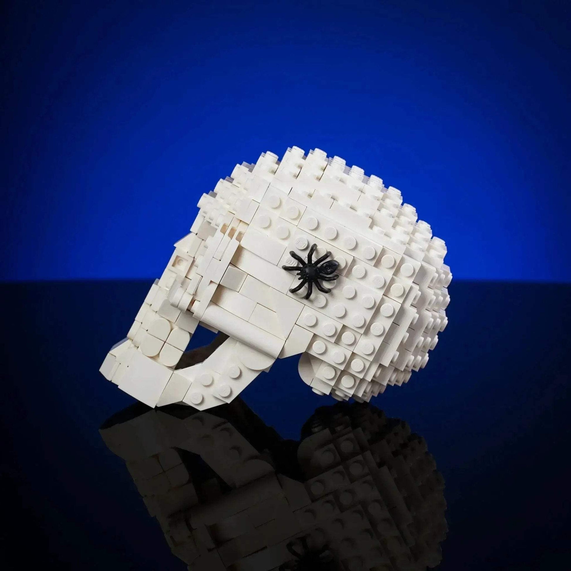 Halloween Skull Prop With Realistic Sculpting Hinged Jaw Spooky Spider - ToylandEU