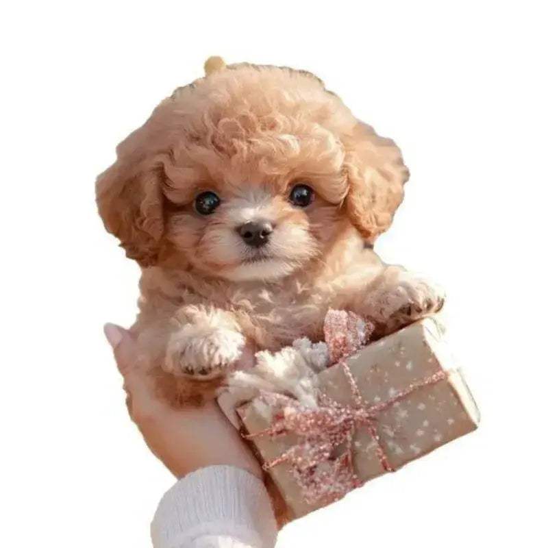 Smart Pet Dog Educational Toy That Walks and Barks - ToylandEU