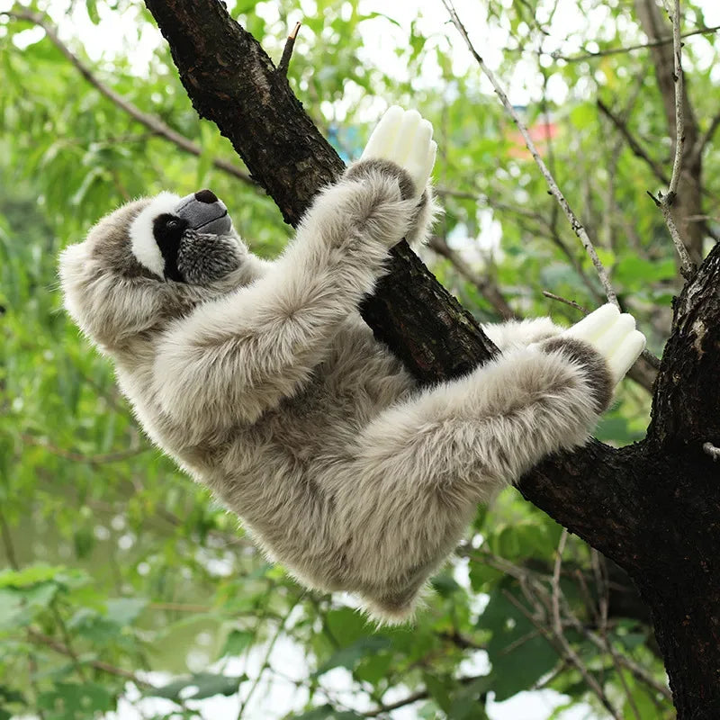 Softest Sloth Plush Toy With Long Arms For Cozy Hugs - ToylandEU