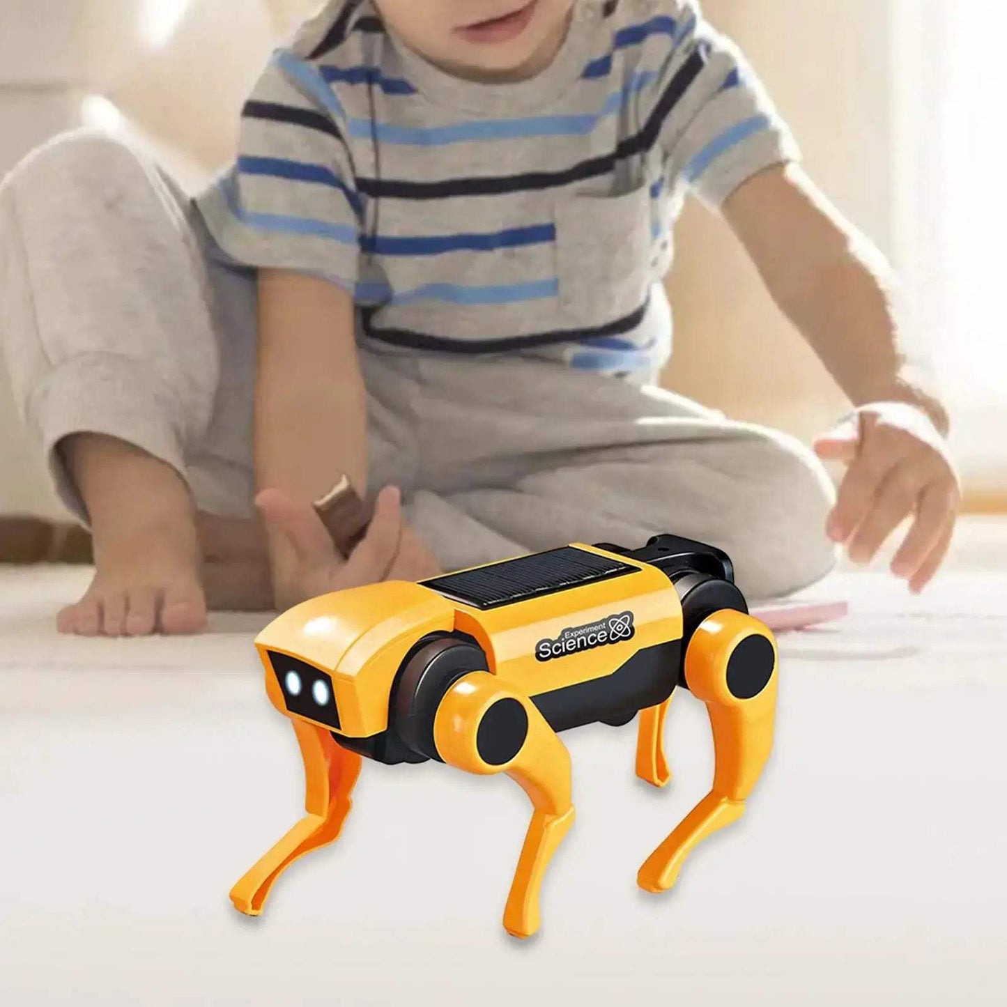 Solar DIY Mechanical Dog Cat Toy Educational Kit For Kids - ToylandEU