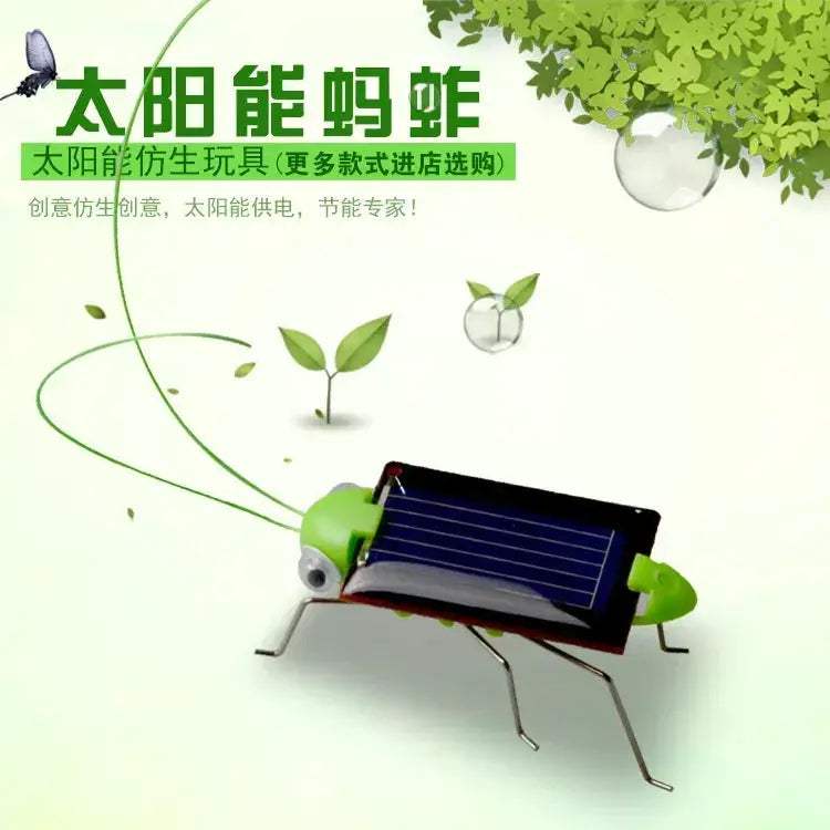 Solar Grasshopper Educational Toy Puzzle For Kids Learning Science - ToylandEU