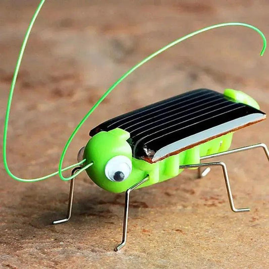  Solar Grasshopper Educational Toy Puzzle No Battery -  ToylandEU™