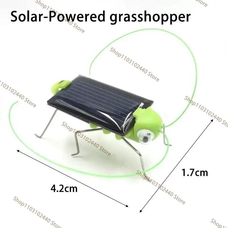 Solar Grasshopper Toy Robotic Insect For Kids No Batteries Needed - ToylandEU