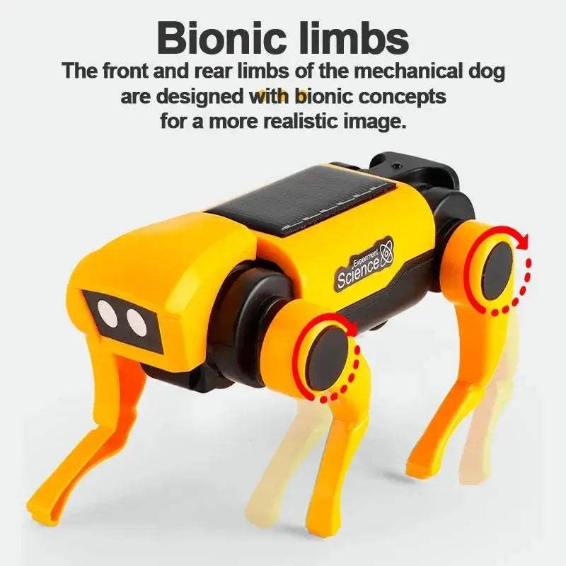 Solar Robot Kit For Kids Educational STEM Science Toy - ToylandEU