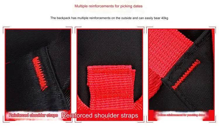 Spider King 3D Kids Backpack Durable and Stylish Design for School - ToylandEU