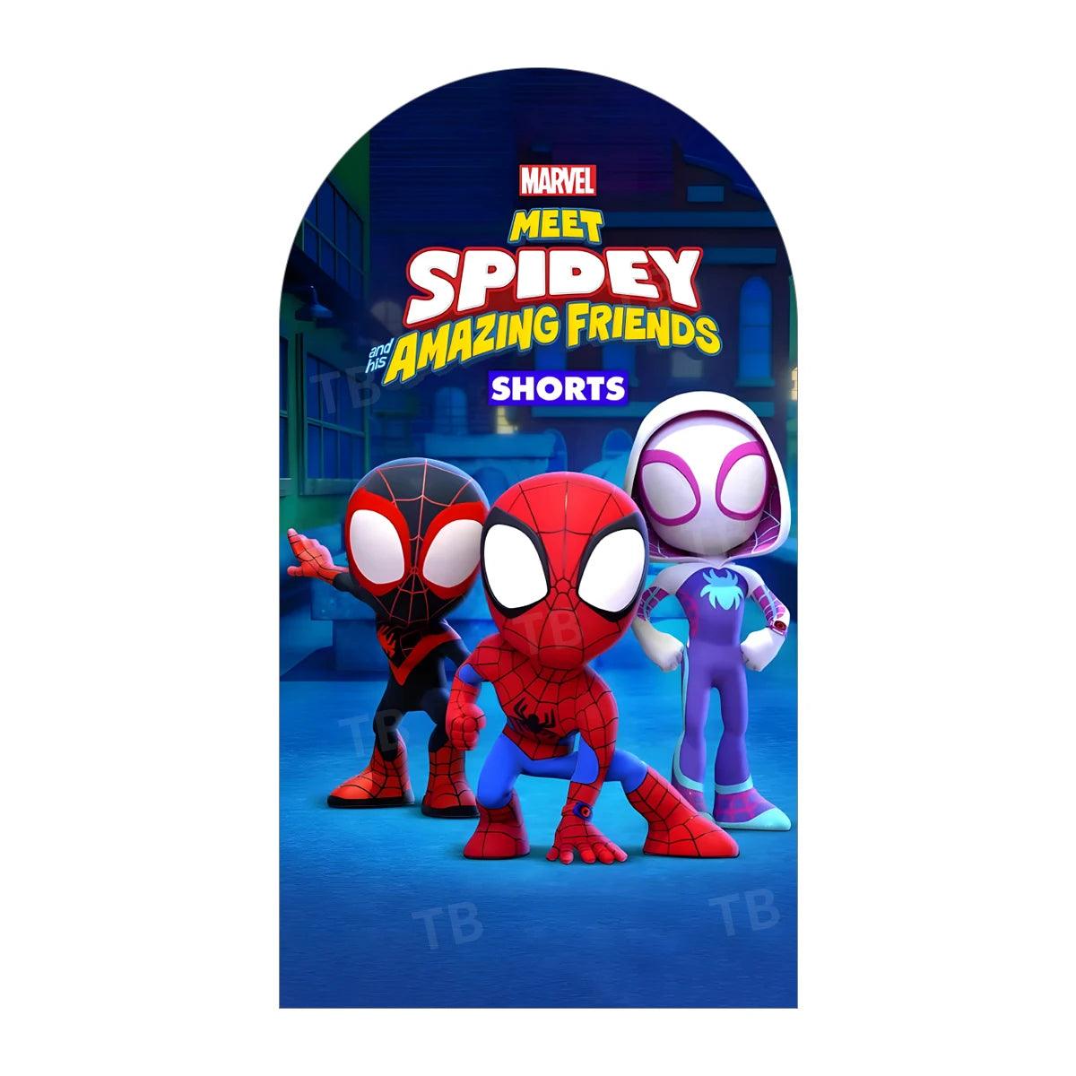 Spider-Man Backdrop | Customizable Decor | Toylandeu™