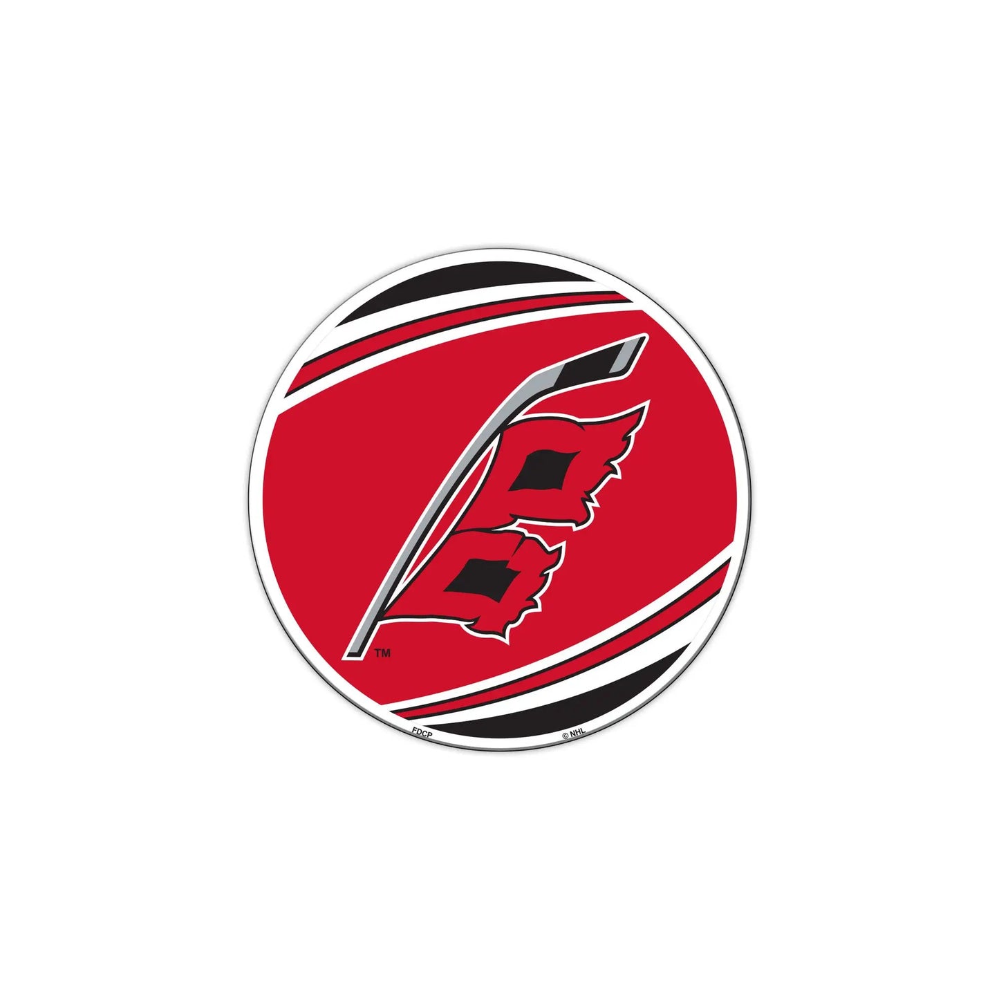 Carolina Hurricanes Magnet Car Style 8 Inch Flag Design CO
