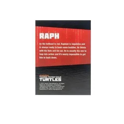  TMNT BST AXN IDW Figure Black And White Exclusive -  ToylandEU™