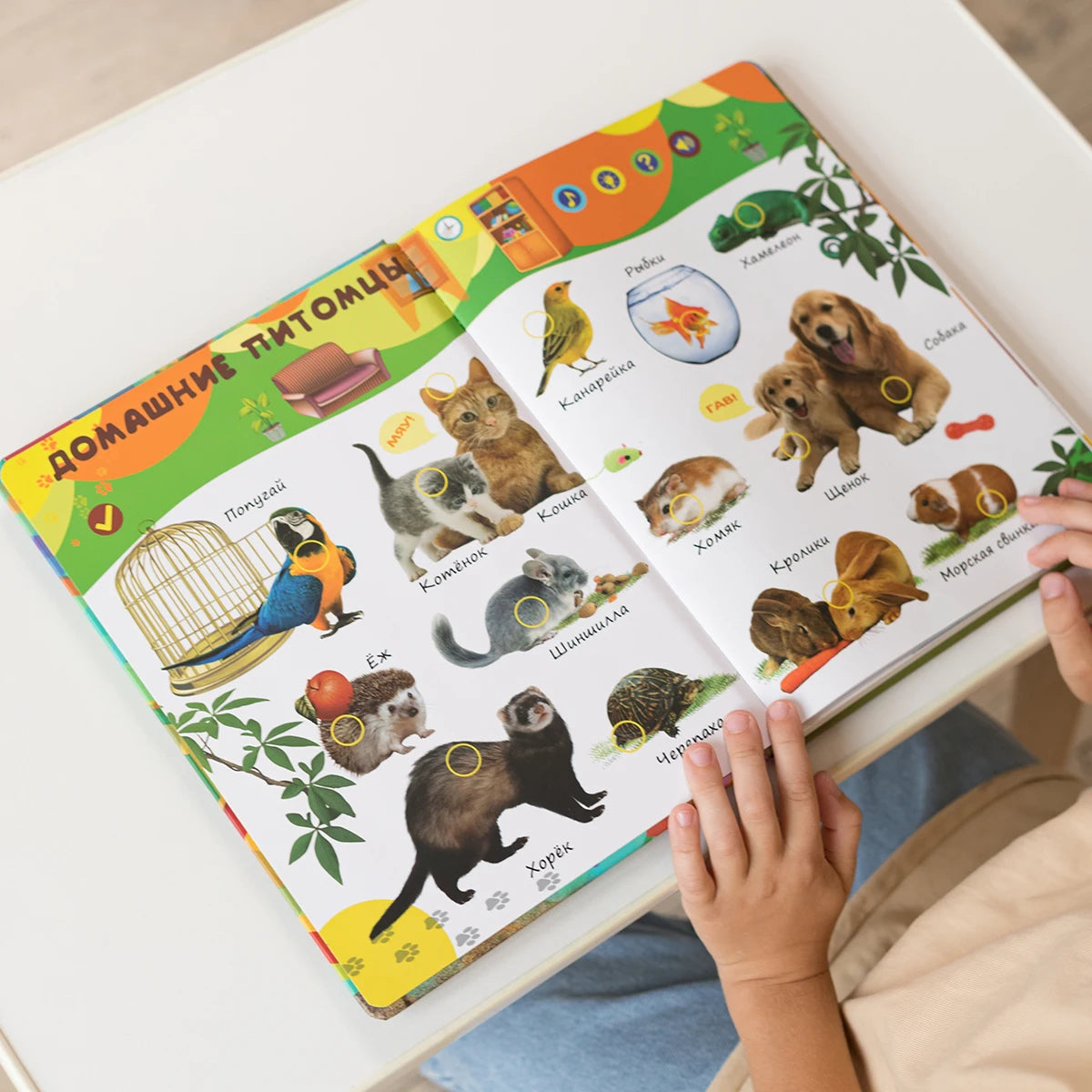 Talking Montessori Educational Book For Kids With 600 Sounds - ToylandEU