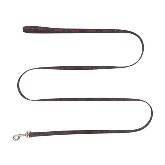  Tampa Bay Buccaneers Pet Leash 1x60 Inches Team Colors -  ToylandEU™