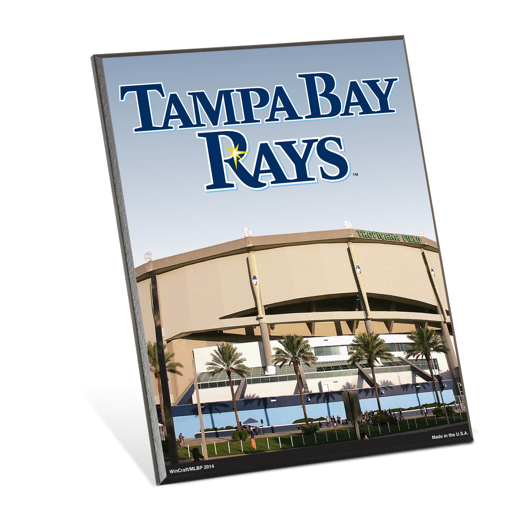 Tampa Bay Rays Sign 8x10 Wood Wall Art MLB Collectible - ToylandEU