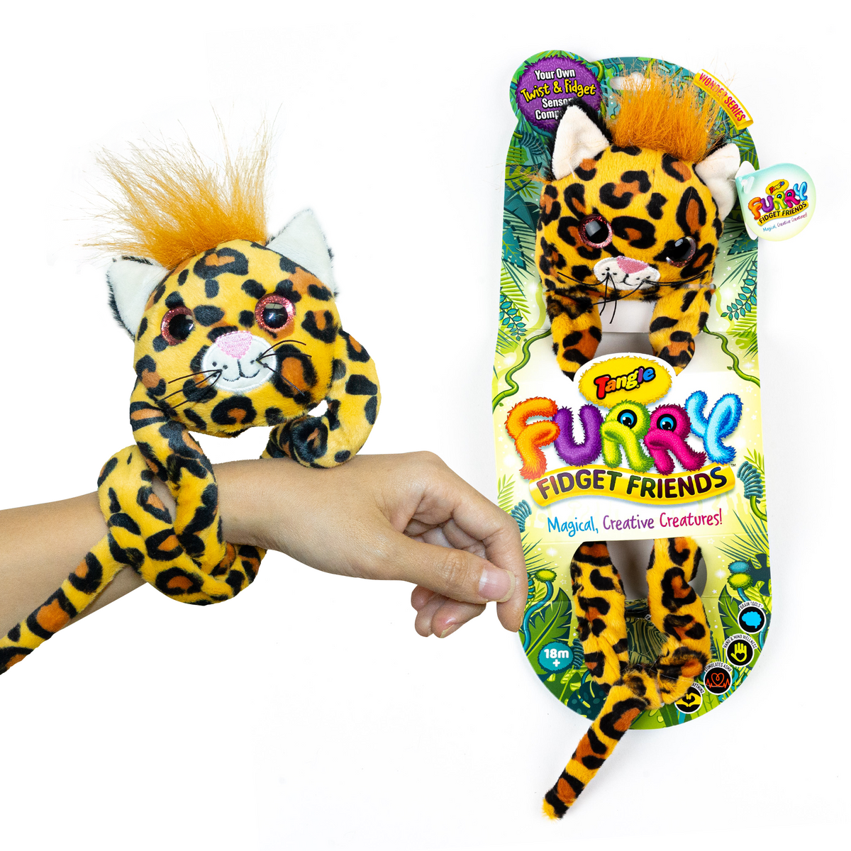 Tangle Fidget Buddy | Pack of 5 | Toylandeu™
