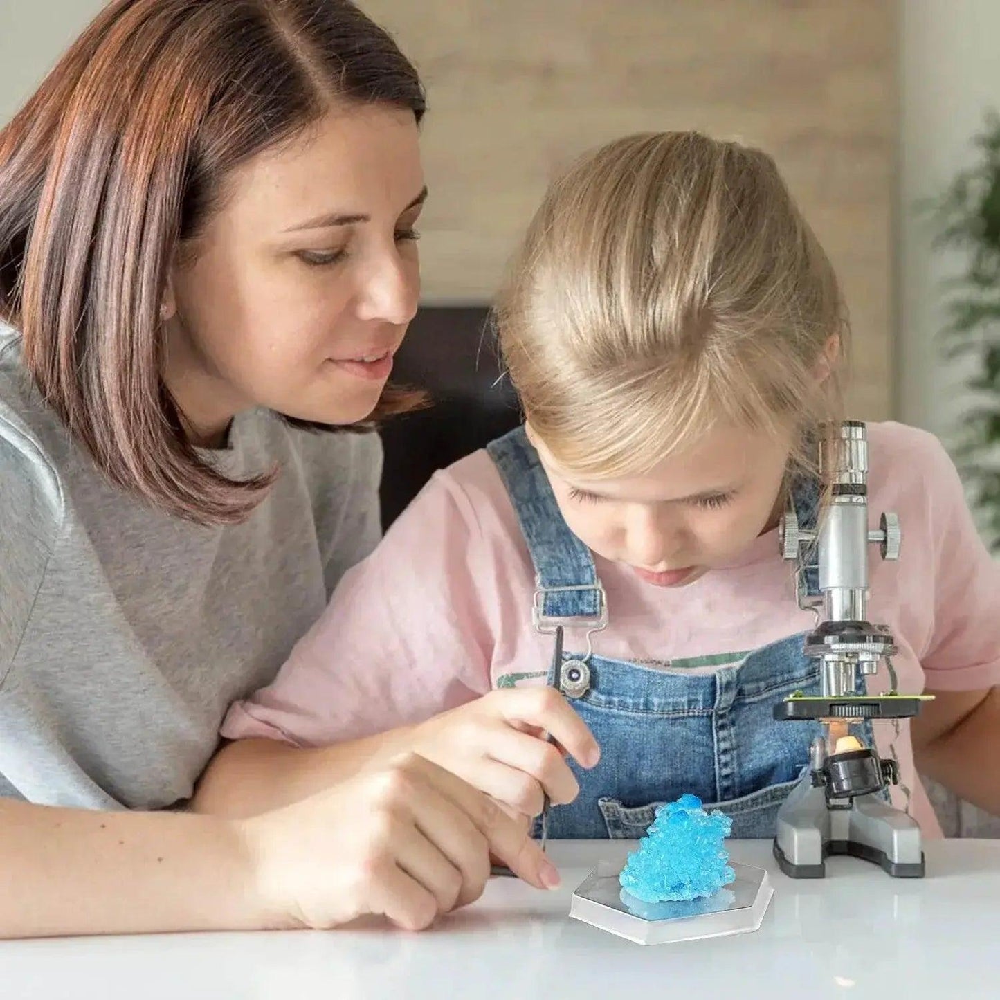  Technology Toy Crystal Planting DIY Scientific Experiment Set Fun Parent-Child Communication Chemical Crystallization Principles -  ToylandEU™