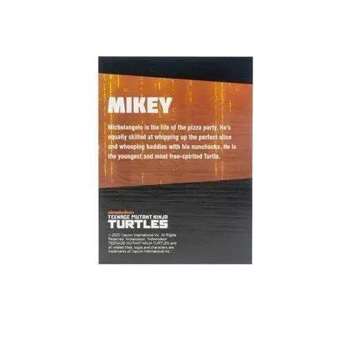 Teenage Mutant Ninja Turtles BST AXN Turtles IDW Comic Black and White 5-Inch Action Figure 4-Pack - SDCC 2023 Exclusive - ToylandEU