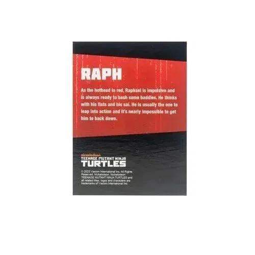 Teenage Mutant Ninja Turtles BST AXN Turtles IDW Comic Black and White 5-Inch Action Figure 4-Pack - SDCC 2023 Exclusive - ToylandEU