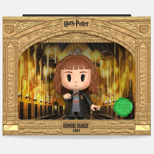  Hermione Granger Vinyl Figure Mystery Box LE3000 Pix -  ToylandEU™