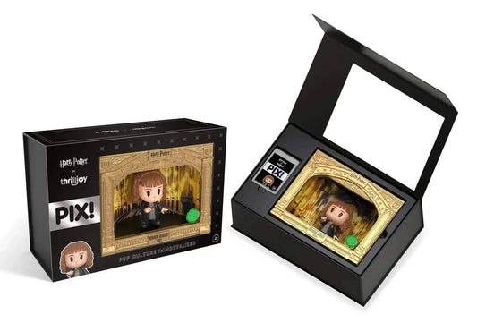  Hermione Granger Vinyl Figure Mystery Box LE3000 Pix -  ToylandEU™