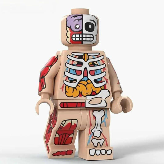  Transparent Visible Anatomy Minifigure Lego Compatible -  ToylandEU™