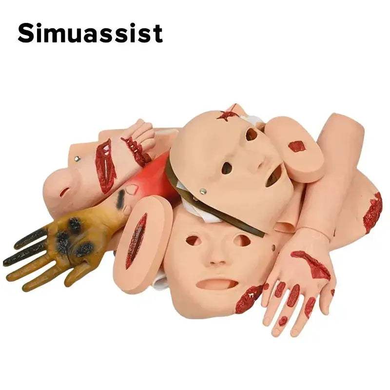 Trauma Simulation Model For Realistic Emergency Medical Training Kit - ToylandEU