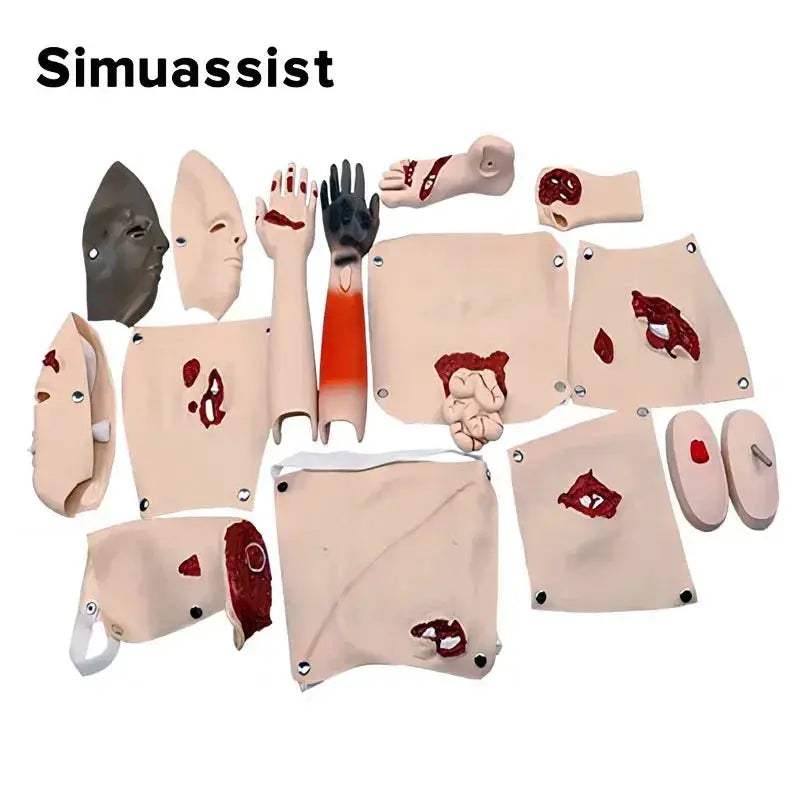 Trauma Simulation Model For Realistic Emergency Medical Training Kit - ToylandEU