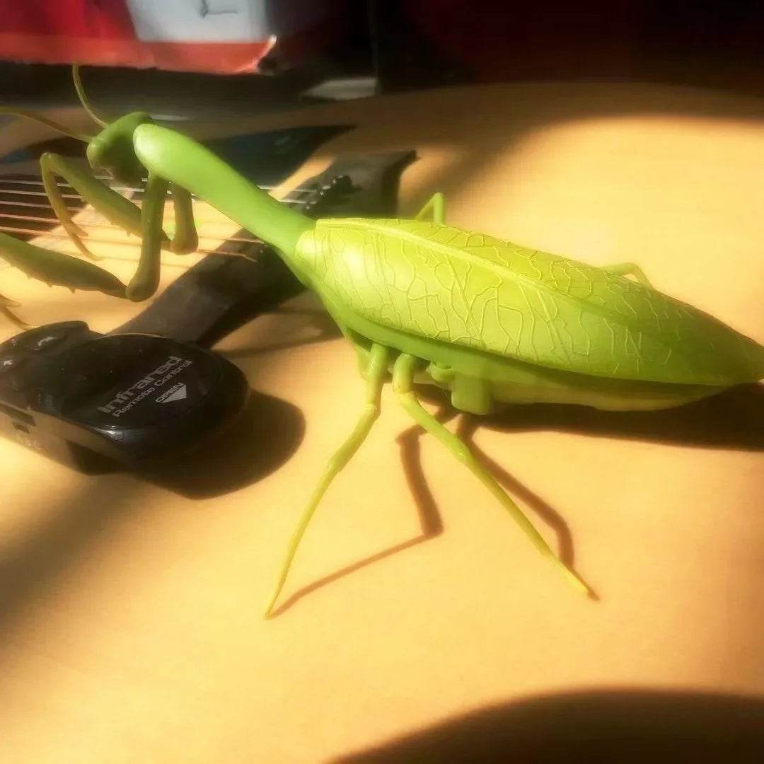 Ultra Premium RC Toy Cockroach Simulation Prank For Kids - ToylandEU